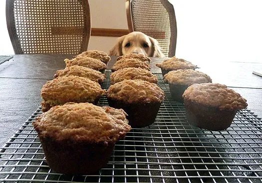 Allspice Crumb Muffins