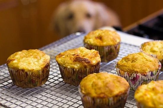 Apple & Cheddar Pupcakes for Einstein’s 4th Birthday!
