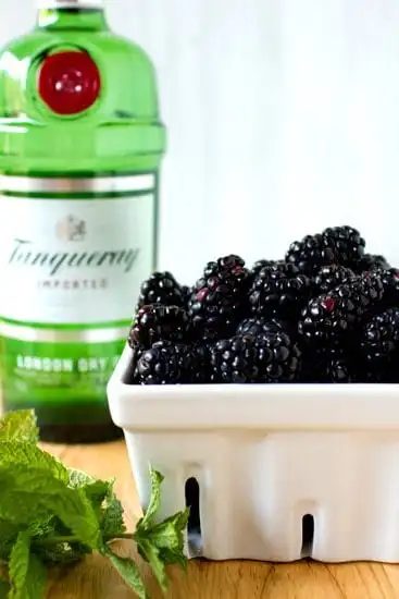 Blackberry Gin Fizz Float