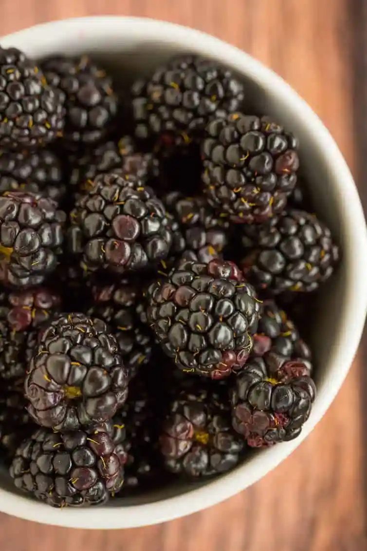 Blackberry Pie Bars