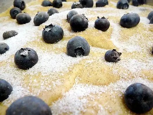 Blueberry Boy Bait