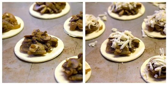Caramelized Onion, Mushroom & Gruyere Tartlets