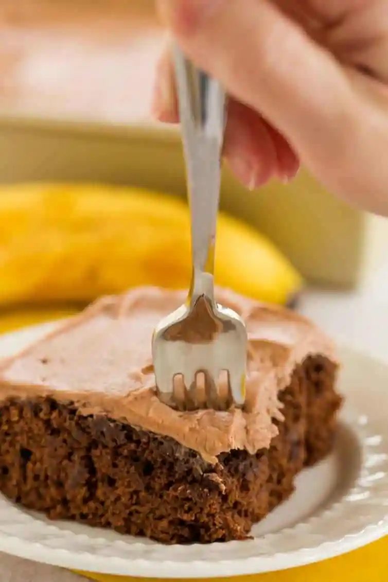 Chocolate Banana Cake plus Chocolate Cream Cheese Frosting