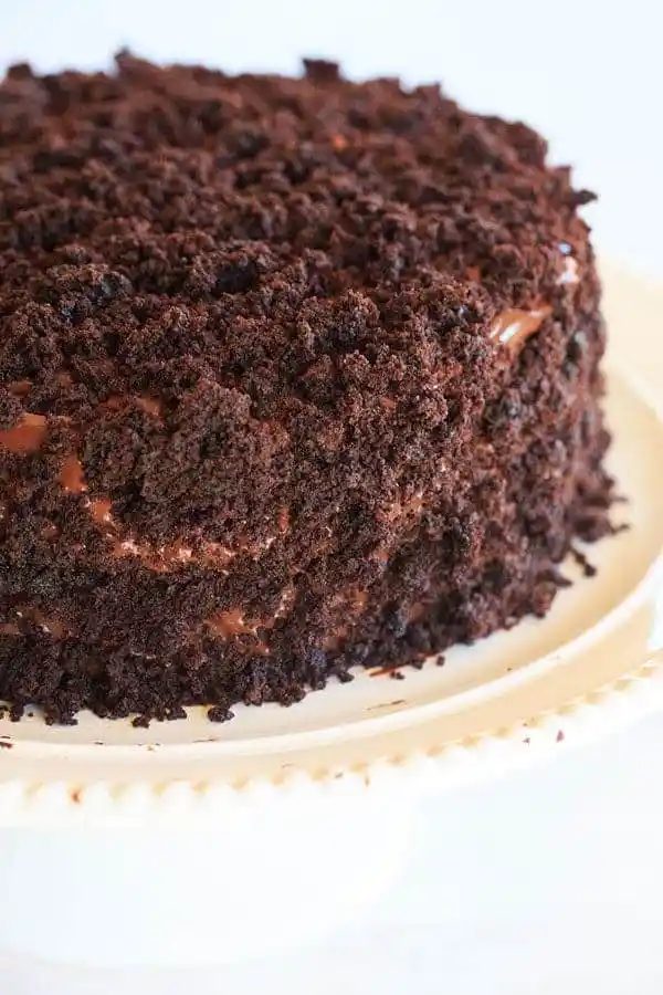 Chocolate Blackout Cake