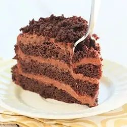 Chocolate Blackout Cake
