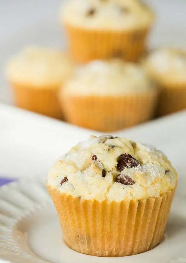 Chocolate Chip Muffins - A reliable, sweet start to your mornings! |