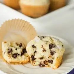 Chocolate Chip Muffins