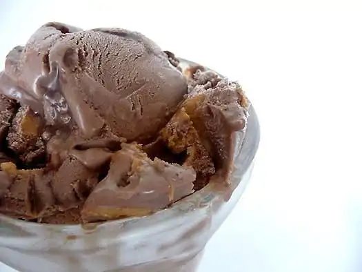 Chocolate Fudge Swirl Peanut Butter Ice Cream