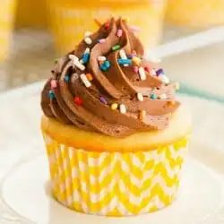 Classic Yellow Cupcakes plus Chocolate Frosting
