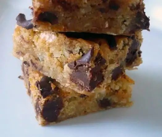Coconut Chocolate Chunk Blondies