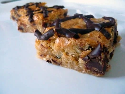 Coconut Chocolate Chunk Blondies