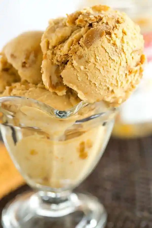Cookie Butter Ice Cream