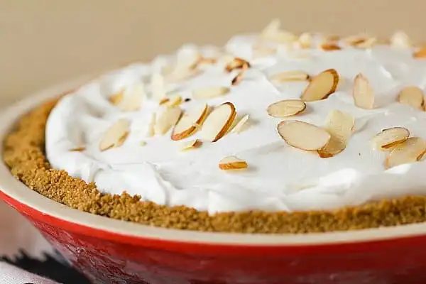 Cranberry Ice Cream Pie