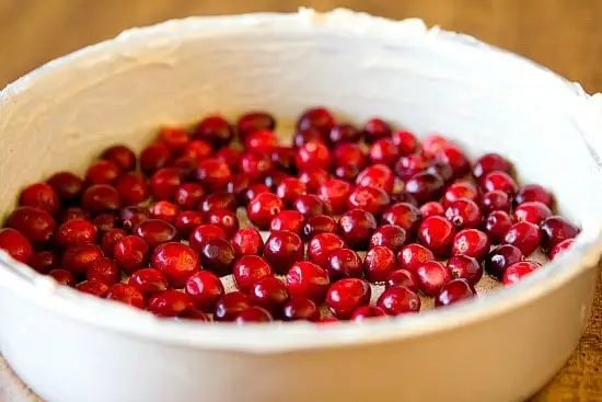 Cranberry Upside-Down Cake