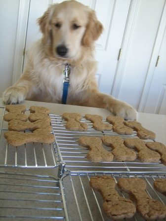 Peanut Butter Dog Treats