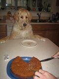 Happy 1st Birthday Einstein!