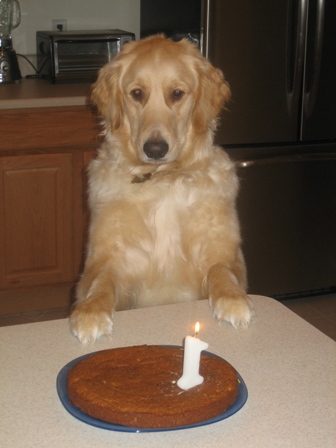 Happy 1st Birthday Einstein!