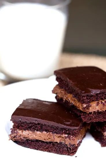 Choco-Bliss Snack Cakes