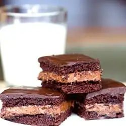 Choco-Bliss Snack Cakes