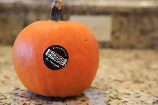 DIY: From-scratch Pumpkin Puree