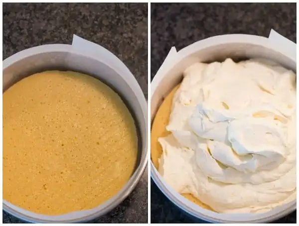 Double Vanilla Ice Cream Cake