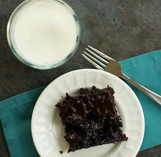 Hot Fudge Pudding Cake