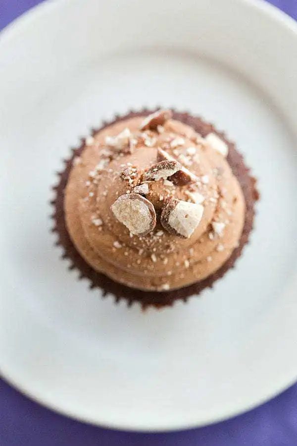 Malted Milk Chocolate Cupcakes