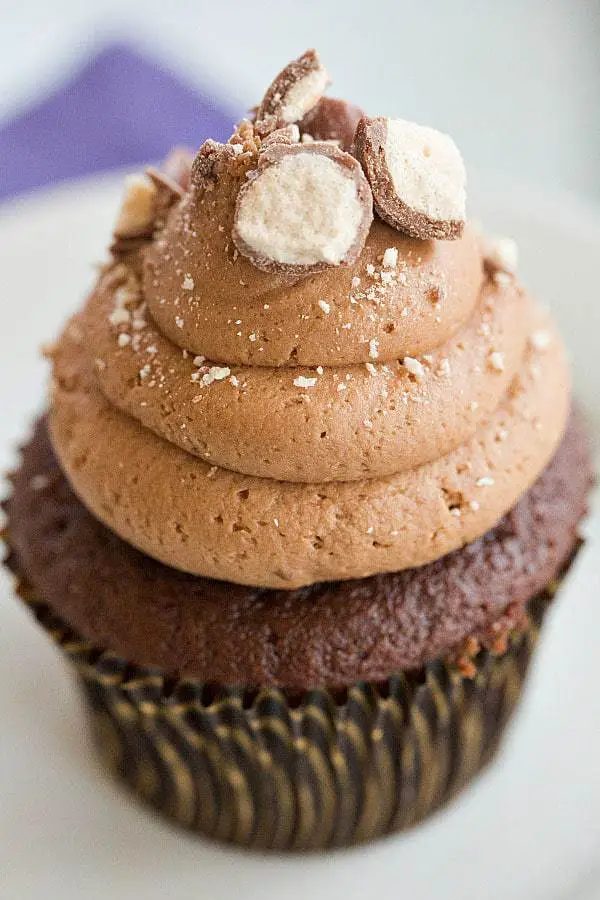 Malted Milk Chocolate Cupcakes - Both the cupcakes and the frosting are infused with malted milk powder. |