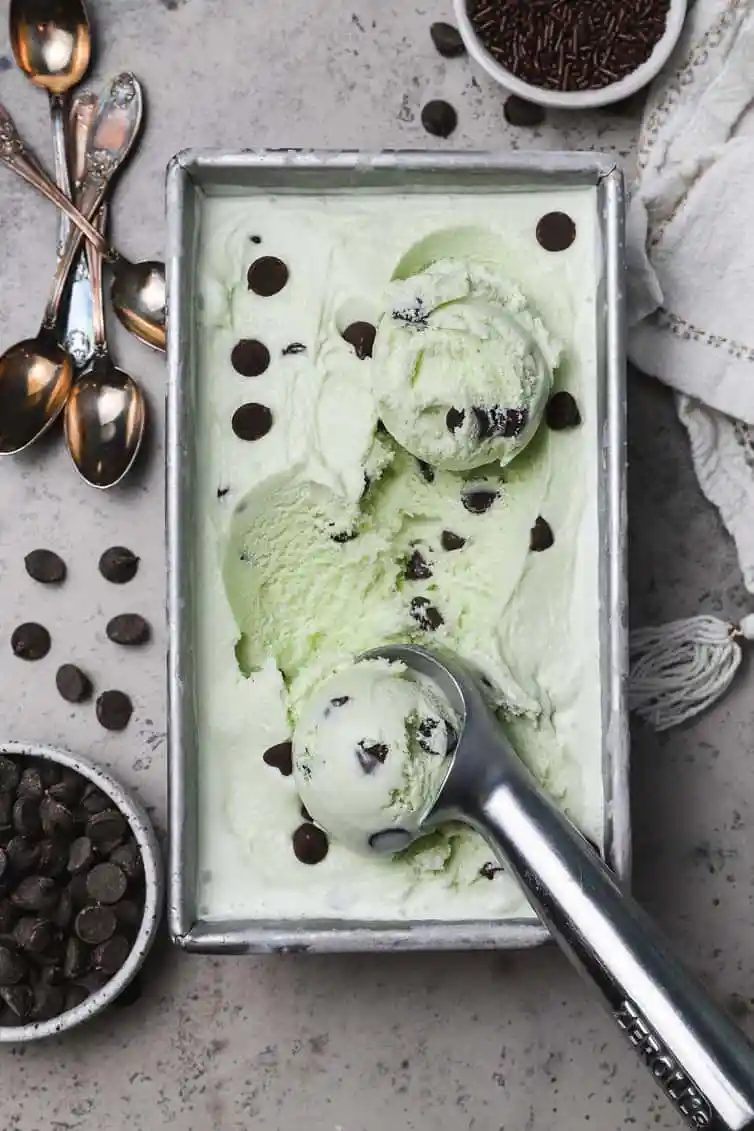 Mint Chocolate Chip Ice Cream
