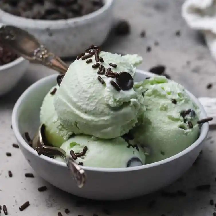 Mint Chocolate Chip Ice Cream