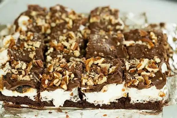 Mississippi Mud Brownies