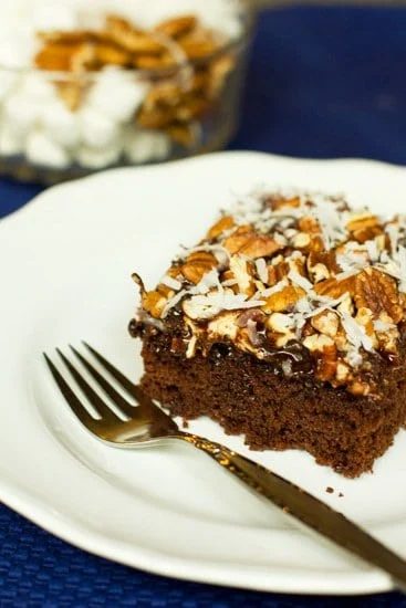 Mississippi Mud Cake
