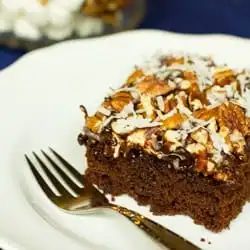 Mississippi Mud Cake
