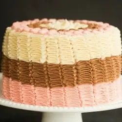 Neapolitan Cake