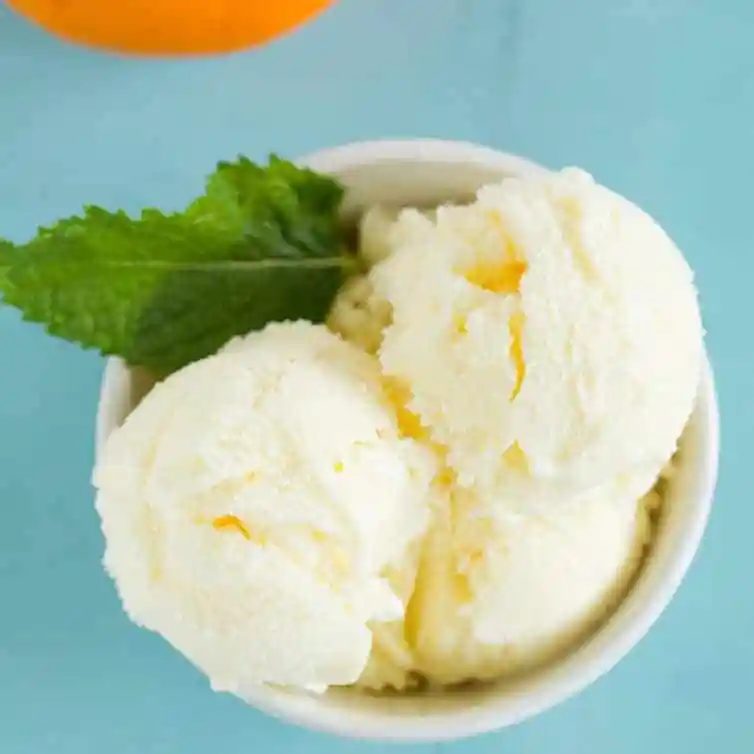 Orange Frozen Yogurt