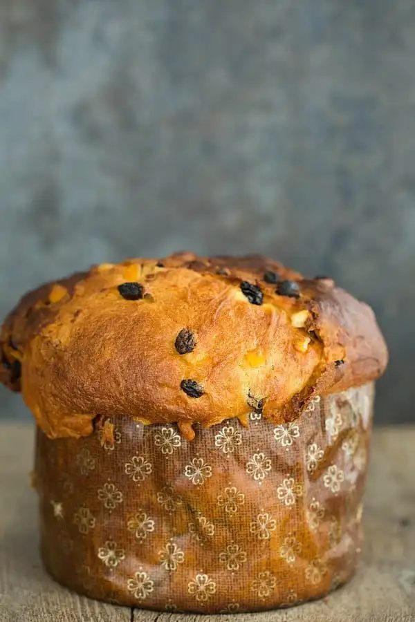 Panettone [Italian Christmas Bread]
