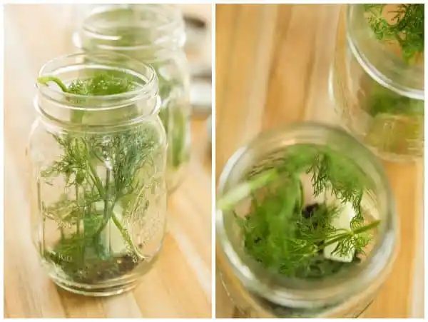 Speedy & Straightforward Refrigerator Dill Pickles | #recipe #summer #canning