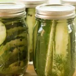 Speedy & Straightforward Refrigerator Dill Pickles