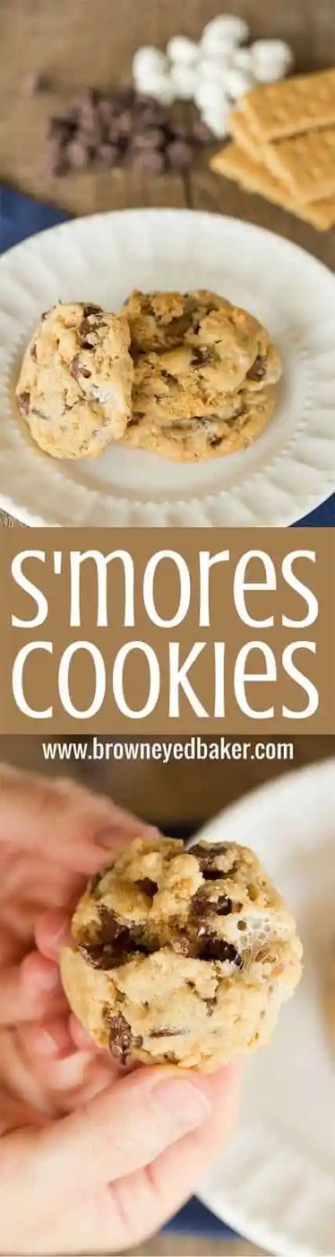 S'mores Cookies made with graham cracker crumbs, mini marshmallows and milk chocolate chips! |