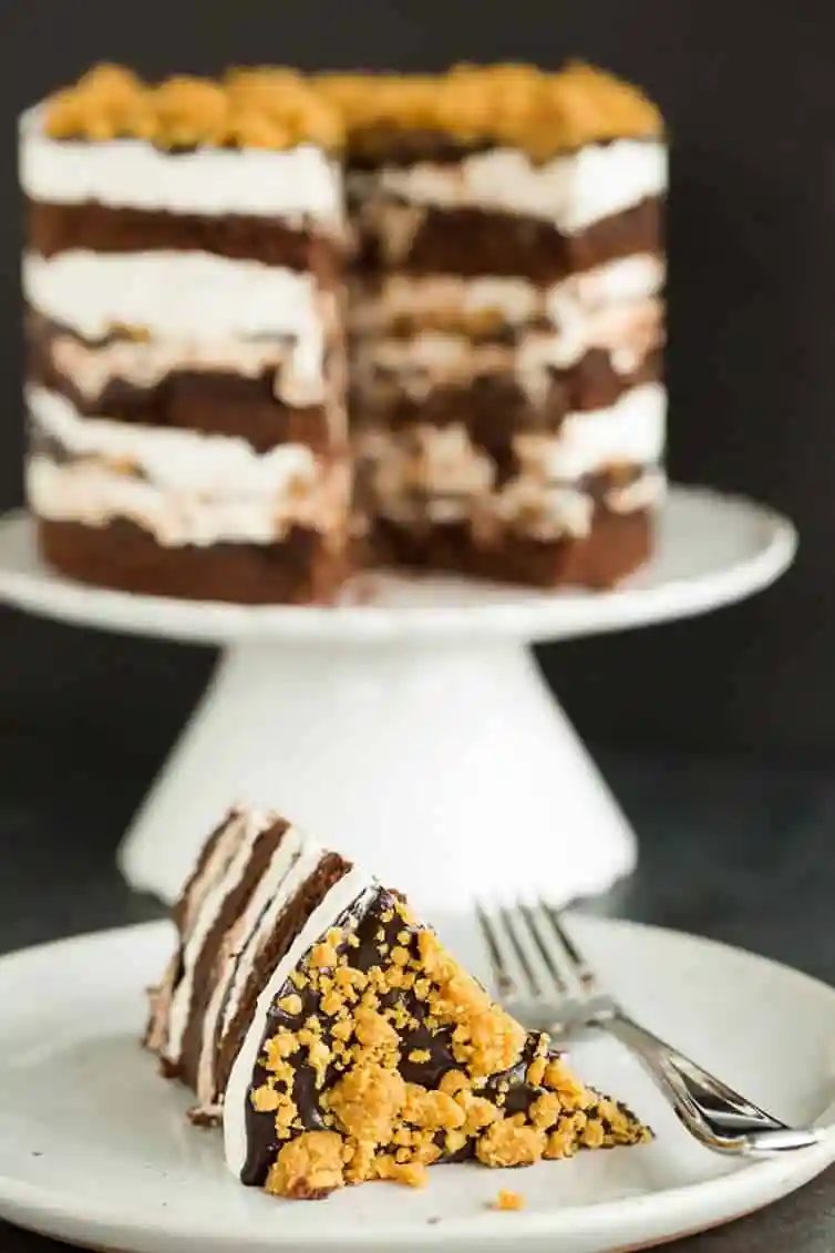 S’mores Layer Cake (Milk Bar style!)