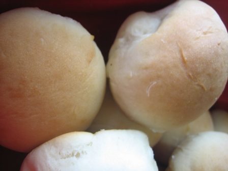 Sweet Dinner Rolls