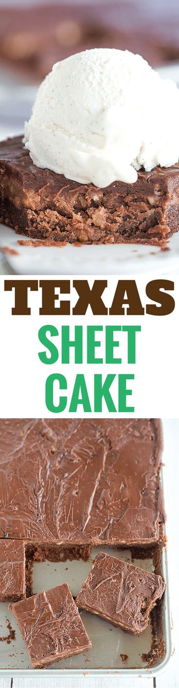 This classic Texas sheet cake has a thin layer of fluffy, plush chocolate cake and is topped with a fudge-like icing with chopped pecans.