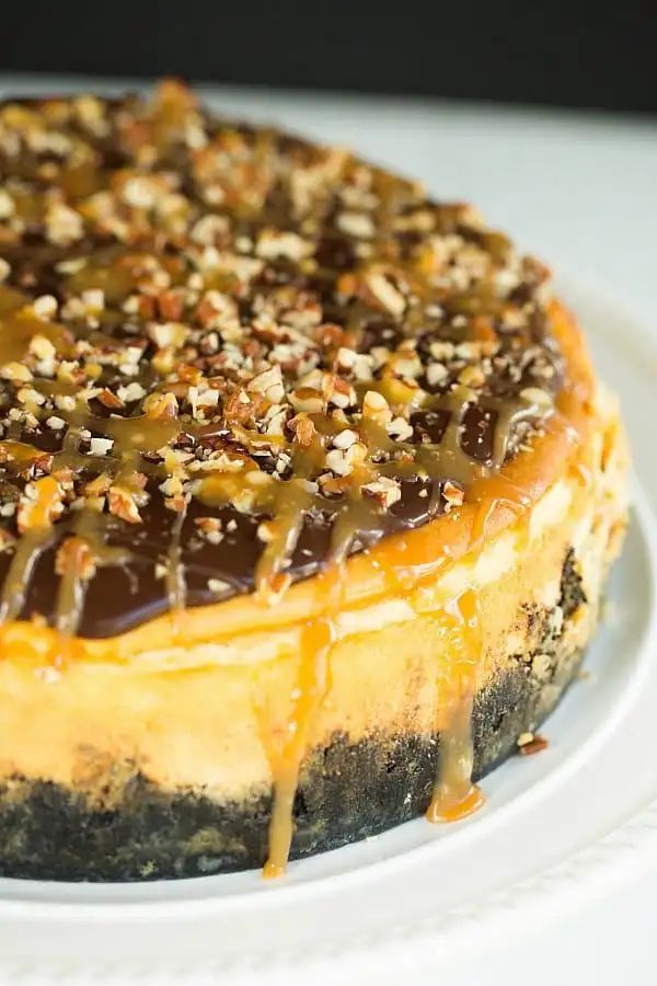 Turtle Cheesecake