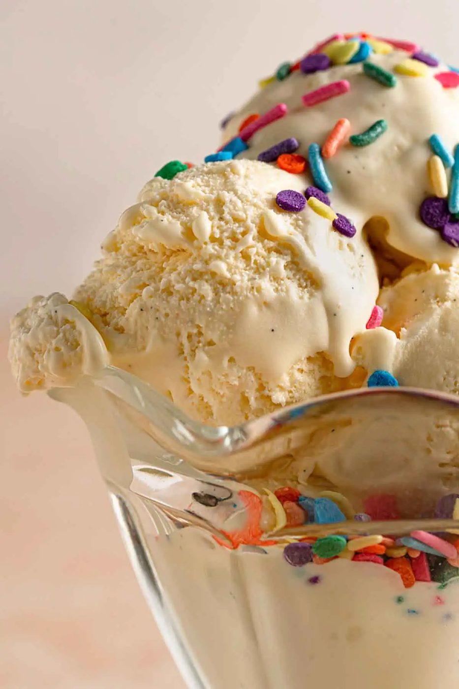 Vanilla Ice Cream
