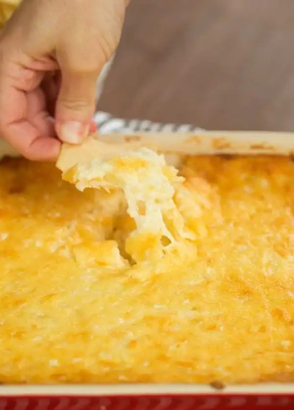 Vidalia Onion Dip