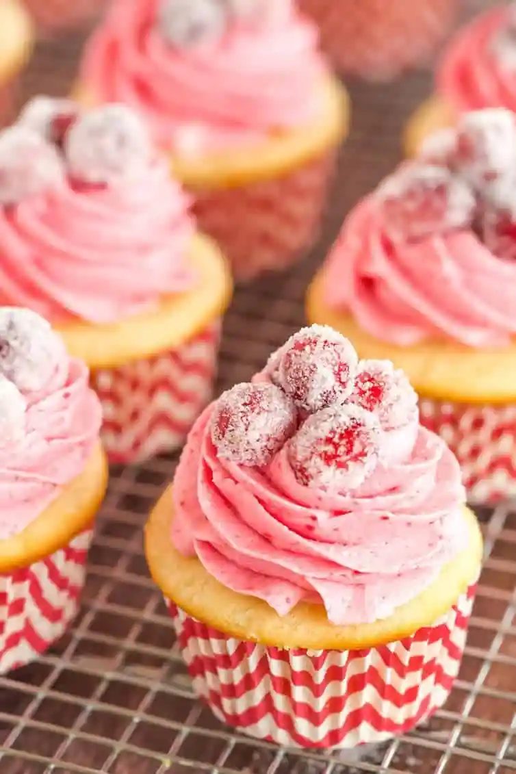 Sparkling Cranberry White Chocolate Cupcakes