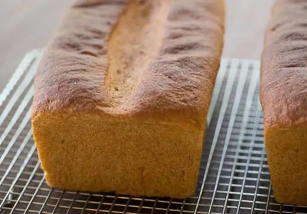 Whole Wheat Sandwich Bread | #recipe #baking