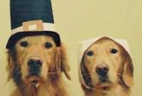 40 Essential Thanksgiving Recipes