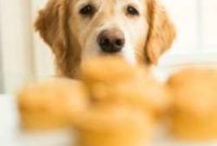 Einstein’s 7th Birthday Pupcakes Yogurt Peanut Butter Delights