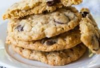 Tropical Dark Chocolate Oatmeal Delights